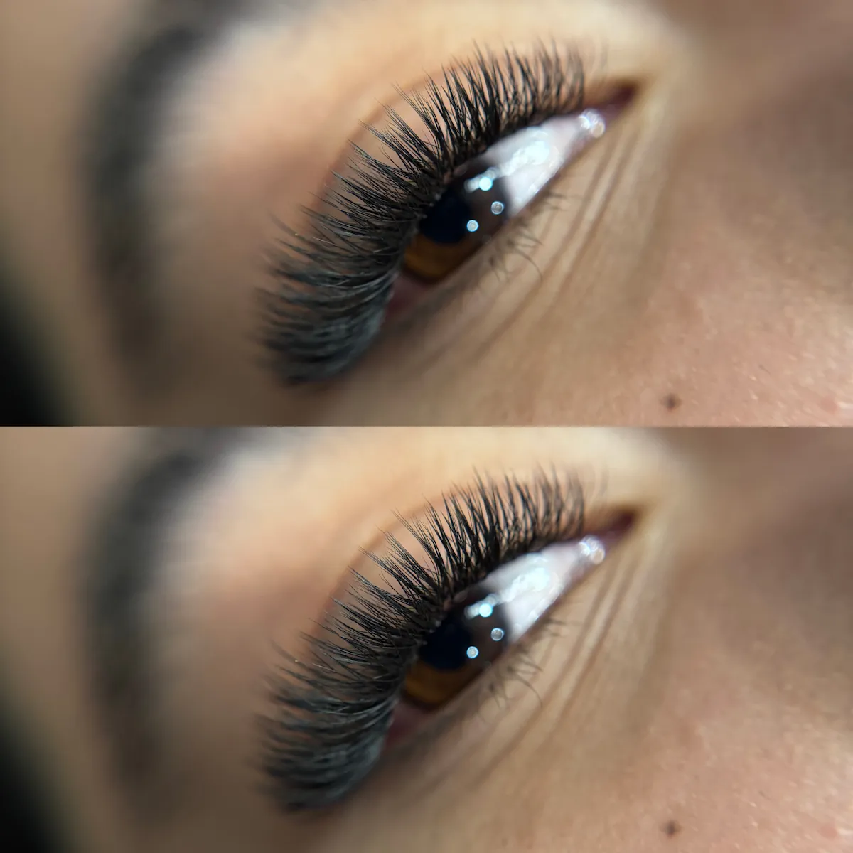 Fairy Lashes (Classic Plus)