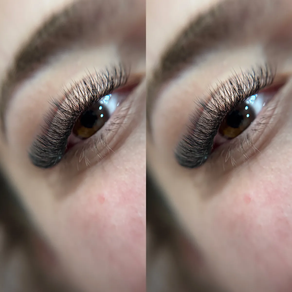 W Lash Classic Plus